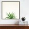Succulent Simplicity I Neutral by Felicity Bradley 16-in. W x 16-in. H. Canvas Wall Art Print Framed in Grey